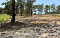 Ruby Road, Hartsville, SC 29550