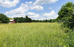 9260 92nd Street SE, Alto, MI 49302