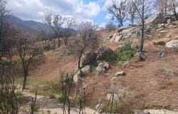 Kendall Rd, Caliente, CA 93518