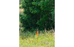 312 Beaver Dam Road, Creedmoor, NC 27522