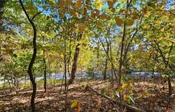 Lot #1403a Via Del Lago Drive, Sunrise Beach, MO 65079