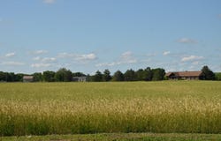 47563 815 Road, Ord, NE 68862
