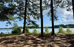 Blue Jay Drive lot: 66E, HEATHSVILLE, VA 22473