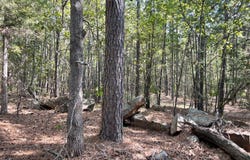 38 Antlers Road, Antlers, OK 74523