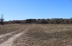 Highway 3, Blackville, SC 29817