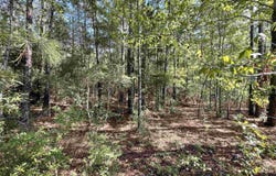 4630 HWY 96 N, Jasper, TX 75951