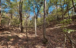Tbd Lakeview Ln, Eufaula, OK 74432