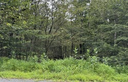 Lot #19 Split Rock Road, Newfoundland, PA 18445