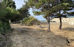 24th St, Florence, OR 97439