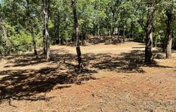65 Alta Vista, Malakoff, TX 75148