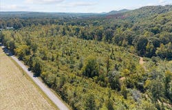 DOUGLAS LANE lot: 146, ONEONTA, AL 35121
