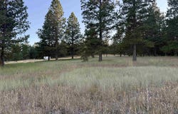 Tbd Harlow Ridge Rd - Cloverland Estates 36, Asotin, WA 99402