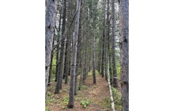 XX Waldo Rd, Two Harbors, MN 55616