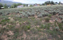 Lot 1 Shirley Drive, Questa, NM 87556-0000