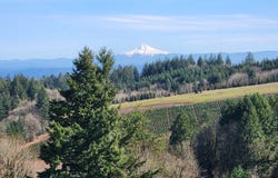 19340 NE BROOKS LN, Newberg, OR 97132