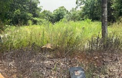 00 Lochview Ln, Canadian, OK 74425