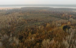 State Route 79, RIDGELY, TN 38080