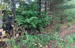 E ROSSEL LAKE ROAD, WALKERVILLE, MI 49459