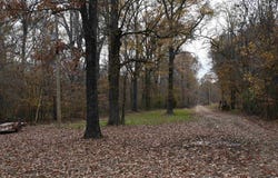 512 Owens Ln, Casscoe, AR 72134