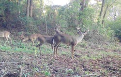 0 Canterbury Rd, Honoraville, AL 36042