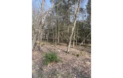 Lot 814 White Pine Drive, Pocono Lake, PA 18347
