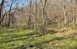 Brush Creek  RD, Noel, MO 64854