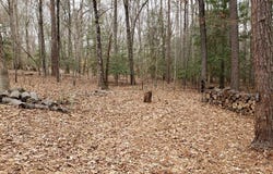 103 Merrymount Rd, Boydton, VA 23917