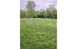 9999 Johnson Ford Road, Owingsville, KY 40360