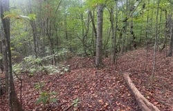 COUNTY ROAD 52, GOODWATER, AL 35072