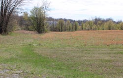 21A1-H-1 Beech Street, Kuttawa, KY 42055