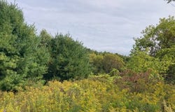 0 Link Rd, Rome, NY 13440