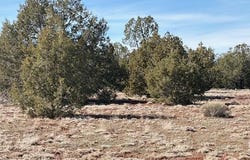 00-D N Dunbar Boulevard, Ash Fork, AZ 86320