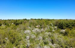 1 Goose River Estates, Swanville, ME 04915
