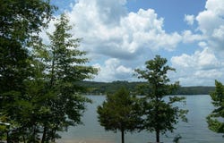 Lot 8 9 10 Honeysuckle Road, Houston, AL 35572