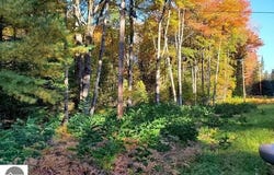 0 Scenic River Drive, Alger, MI 48610