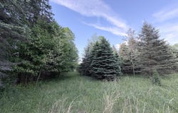 VL E Riverside Drive, Ionia, MI 48846