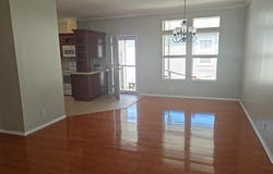 520 Cary Lane, Tarpon Springs, FL 34689