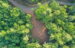 Lot 4 Wilderness Way, Blue Ridge, GA 30513