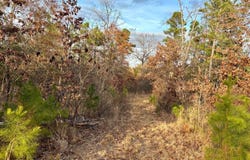100 White Rd, Heavener, OK 74937