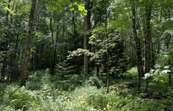Creamton Drive, Lakewood, PA 18439