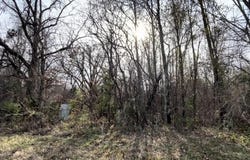 Highway 49, Helena, AR 72342