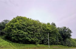 5757 State Highway 7, Oneonta, NY 13820