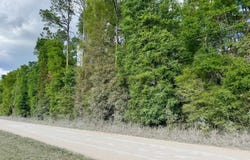 OBrien, FL 32071