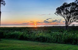6 Herring Gull Lane, Hilton Head Island, SC 29926