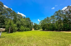 0 Holsombech Swamp Road, Sprott, AL 36756