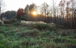 Pridemoore Rd. lot: 9, Galax, VA 24333