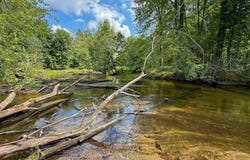 54.8 Stakes Road, Gowen, MI 49326