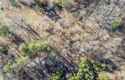 10972 US 64 Hwy lot: 1, Arlington, TN 38002