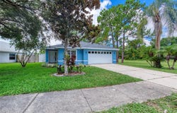 300 SAWMILL CREEK COURT, ORMOND BEACH, FL 32174