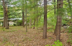 V/L Oakwood Avenue, Prudenville, MI 48651